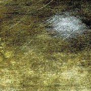 Image 36