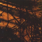 Image 30