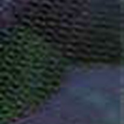 Image 30