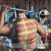 Image 31