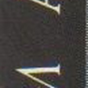 Image 27