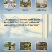Image 42