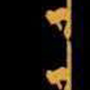 Image 23