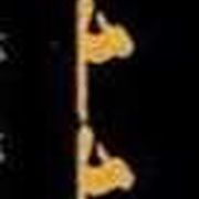 Image 24