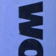 Image 13