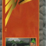Image 21
