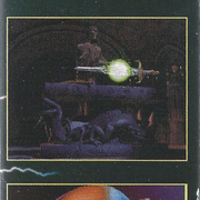 Image 19