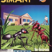 Image 30