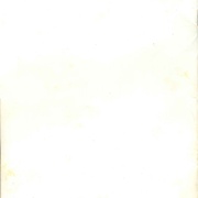Image 41