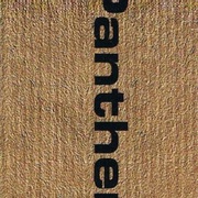 Image 35