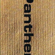 Image 36