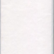 Image 37