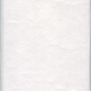 Image 38