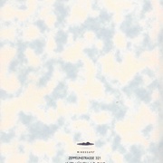 Image 45