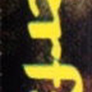 Image 31