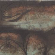 Image 45