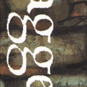 Image 40