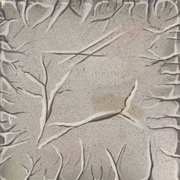 Image 23