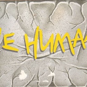 Image 20