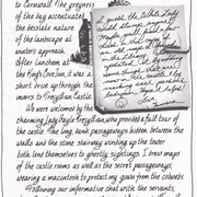 Image 39
