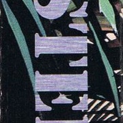 Image 19