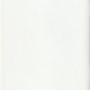 Image 40