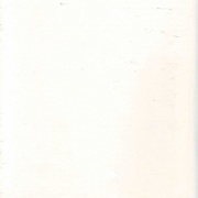 Image 16