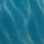 Image 41