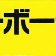 Image 13