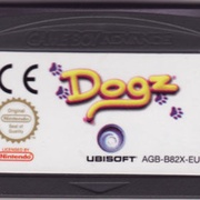 Image 3