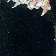 Image 20