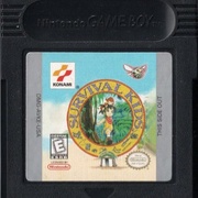 Image 4
