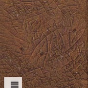 Image 14